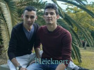 Bleicknort