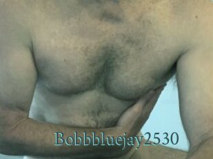 Bobbbluejay2530