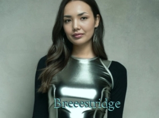 Breeestridge
