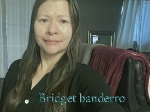 Bridget_banderro