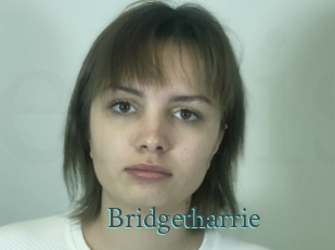 Bridgetharrie