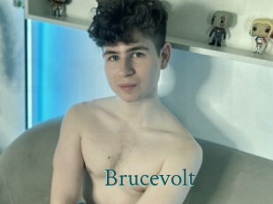 Brucevolt