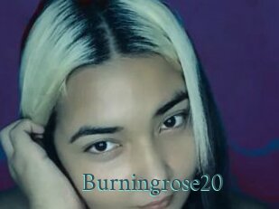 burningrose20 En live show
