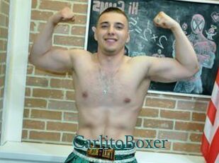 CarlitoBoxer