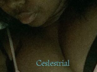 Ceslestrial