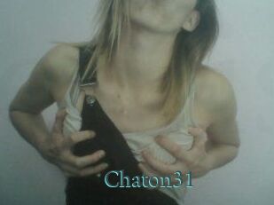 Chaton31