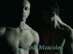 Curious_Muscules