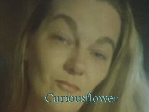 Curiousflower