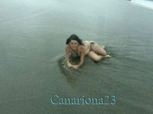 Canariona23