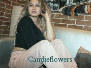 candieflowers En live show