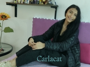 Carlacat