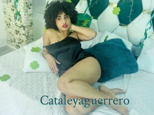 Cataleyaguerrero