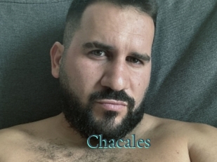 Chacales