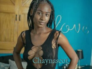 Chaynascot