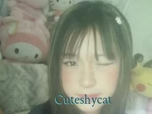 Cuteshycat