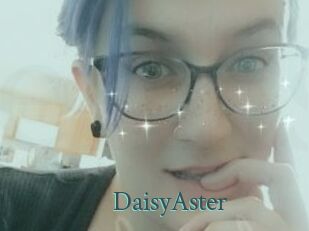 DaisyAster