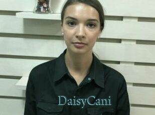 DaisyCani