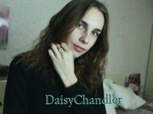 Daisy_Chandler