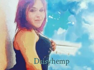 Daisy_hemp