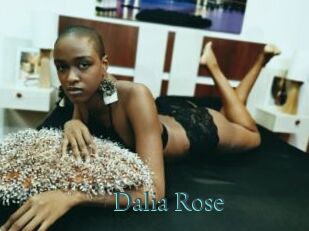 Dalia_Rose