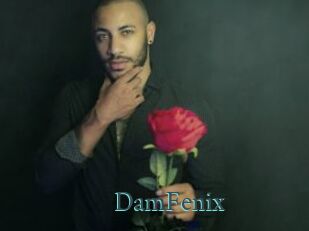 DamFenix