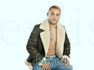 DavidPoll