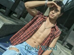 David_Wood