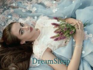 DreamSleep