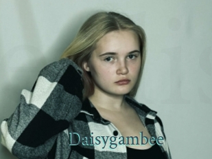 Daisygambee
