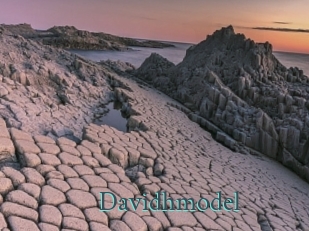 Davidhmodel