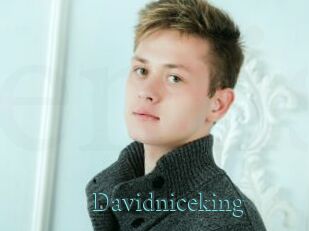 Davidniceking