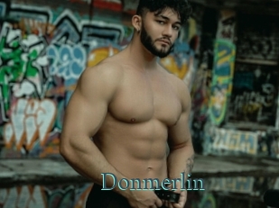 Donmerlin