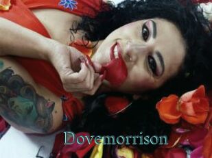 Dovemorrison