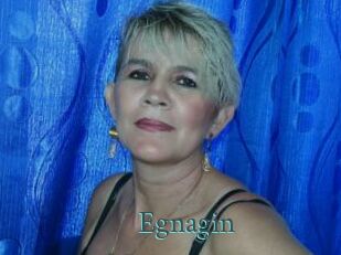Egnagin