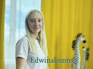 Edwinabunte