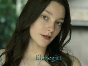 Elenegitt