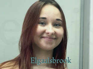 Elgaalsbrook