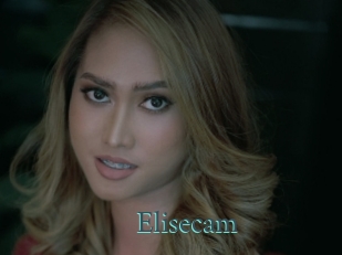 Elisecam