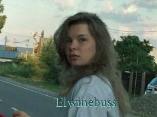 Elwinebuss