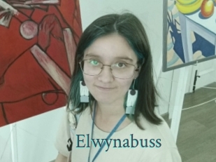 Elwynabuss