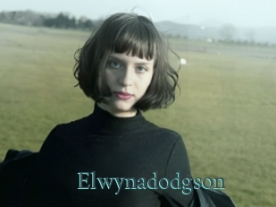 Elwynadodgson