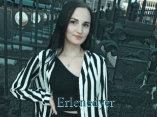 Erlenedyer