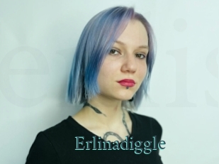 Erlinadiggle