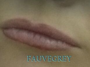 FAUVEGREY En live show