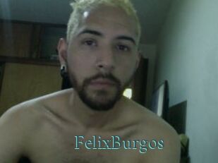 FelixBurgos