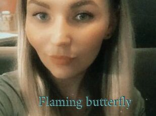 Flaming_butterfly