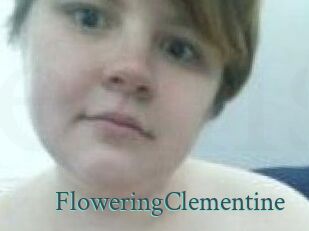 FloweringClementine