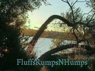 FluffsRumpsNHumps