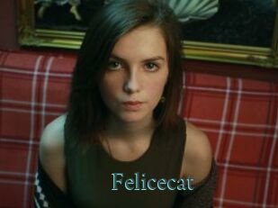 Felicecat