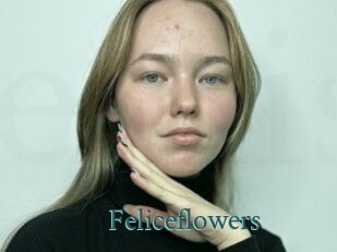 Feliceflowers